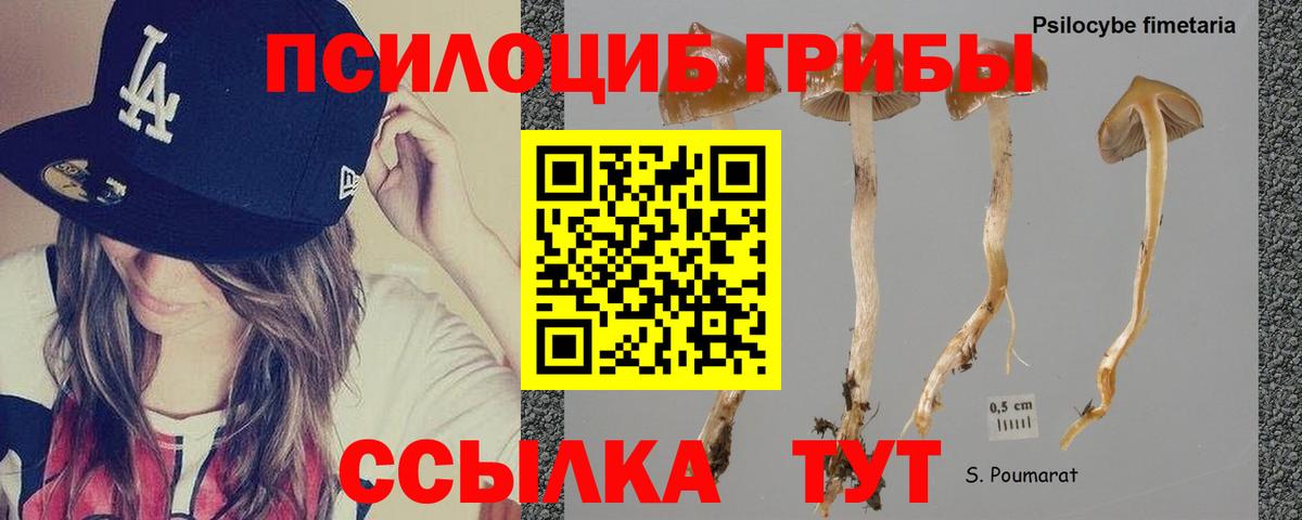 Галлюциногенные грибы мухоморы  Псилоцибиновые грибы Psilocybe  магазин продажи наркотиков  Вход с VPN  Верхний Уфалей 
